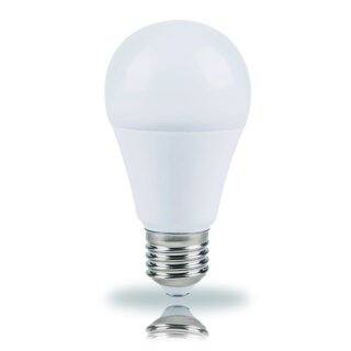 LED Leuchtmittel AGL E27 12W 1155lm 2700k warmweiß opal 240°