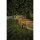 StarTrading LED-Solarstäbe Firework IP44