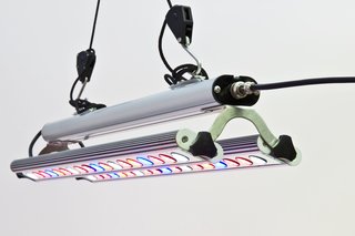 VENSO Variable LED-Anzucht-,Wachstums und Überwinterungslampe mit Stativ GrowLight Quattro 60W