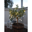 Star Trading - LED-Solar-Lichterkette Balls White 20flg. 477-58