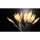 EGB 86559000 LED-Lichterkette 50 LEDs transparent/bernstein