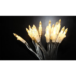 EGB 83318000 LED-Lichterkette 100 LEDs transparent/warmweiß