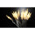 EGB 83318000 LED-Lichterkette 100 LEDs transparent/warmweiß