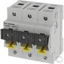 KELECTRIC TYTAN II 102653.24ABF25 Lasttrennschalter mit...