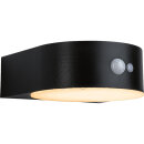 Paulmann Solar-Wandleuchte schwarz Eileen 94730