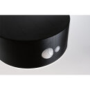 Paulmann Solar-Wandleuchte schwarz Eileen 94730