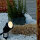 THORN LED-Erdspießstrahler Mary IP66 96633583