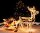 WRT002 LED Rentier mit Schlitten 9W 528lm 264 LEDs 11m Lichtschlauch warmweiß 2700K IP44