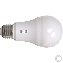 EGB 54300500 LED Lampe 5CCT DIM E27 13W 1521lm 2700-6500K einstellbar