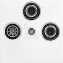 Panasonic Plus 55 Zentralscheibe Antennendose 3-Loch...