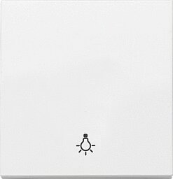 Panasonic Plus 55 Wippe weiß mit Symbol Licht WDTR00161WH-EU1