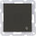 Panasonic Plus 55 Steckdose mit Klappdeckel anthrazit