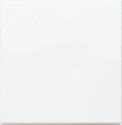 Panasonic Plus 55 Wippe weiß WDTR00011WH-EU1
