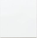 Panasonic Plus 55 Wippe weiß WDTR00011WH-EU1