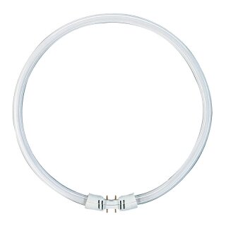 2GX13223 Leuchtstofflampe Ring Rundröhre T5 22W/830 2GX13 warmweiß 3000K