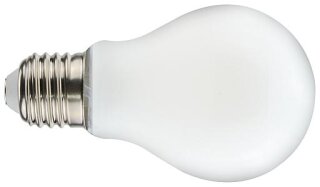 EGB 52197000 Filament Lampe AGL opal E27 7,8W 1055lm 2700K