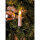 Konstsmide LED Innenkette "One String" 25 flg. 1004-020