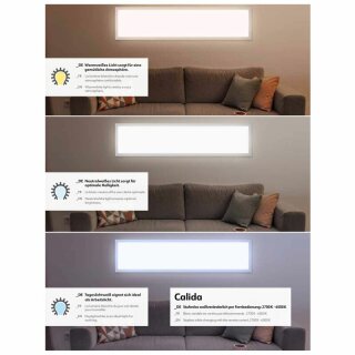 Müller-Licht LED Aufbaupanel Calida Switch Tone 60x30cm Weiß 24W 1800lm CCT 2700K-6500K dimmbar Fernbedienung