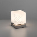 Paul Neuhaus LED-Tischleuchte "Dadoa" stahl 4036-55
