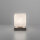 Paul Neuhaus LED-Tischleuchte "Dadoa" stahl 4036-55