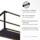 Paul Neuhaus LED-Pendelleuchte "Contura" 32W schwarz 2441-18
