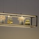 Paul Neuhaus LED-Pendelleuchte "Contura" 32W schwarz 2441-18
