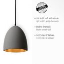 Paul Neuhaus Pendelleuchte "Eton" beton 2231-22