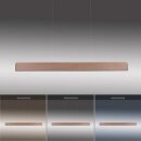 Paul Neuhaus LED-Pendelleuchte "Palma" Holz natur 2465-79