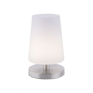 Paul Neuhaus LED-Tischleuchte stahl 3000K 3W 4146-55