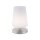 Paul Neuhaus LED-Tischleuchte stahl 3000K 3W 4146-55