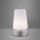 Paul Neuhaus LED-Tischleuchte stahl 3000K 3W 4146-55