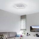 Paul Neuhaus LED-Deckenleuchte stahl 3000K 28W 8192-55