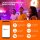 Ledvance Smart+ LED Tischleuchte Decor Wood Table Holz 8W 650lm CCT 3000K - 6500K Dimmbar App Google Alexa WiFi