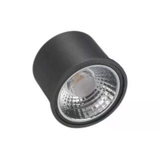 Thorgeon HALUX LED Module 6W 400Lm 2100- 2700K 36° Ra95 DTW