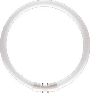 Radium Leuchtstofflampe Bonalux Ring NL-T5 22W 840C 2GX13