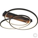 Trio LED-Deckenleuchte Darvin schwarz 34W CCT 649110132