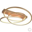 Trio LED-Deckenleuchte Darvin goldfarbig 34W CCT 649110179