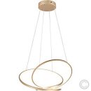 Trio LED-Pendelleuchte Darvin goldfarbig 750mm 36W CCT...