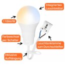 BA601040CCT Baufassung Renovierlampe 10W 1100lm 2700/4000/6500K Steckklemme