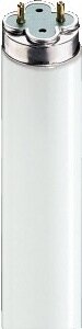 Philips Master TL-D Xtreme 36W/830 3250lm G13